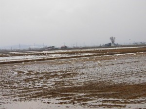 CIMG0039