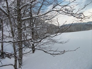 IMGP0002