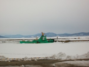 IMGP0006
