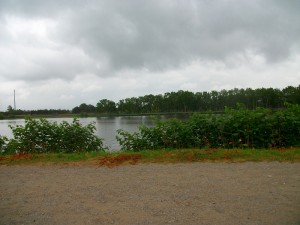 IMGP0019