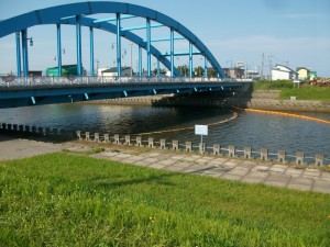 IMGP0069