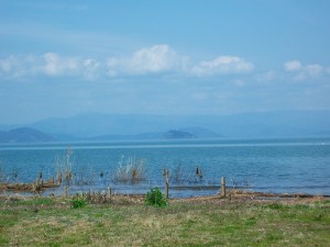 IMGP0082