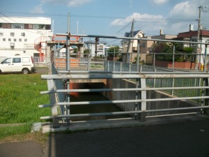 IMGP0095