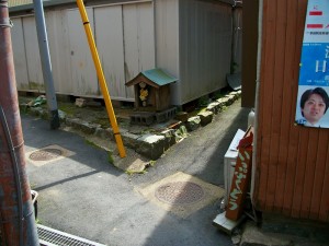 IMGP0113
