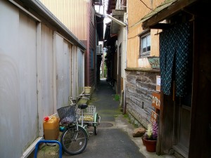 IMGP0115