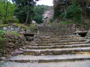 IMGP0131