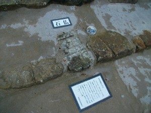 IMGP0133