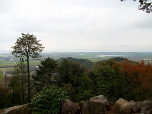IMGP0135