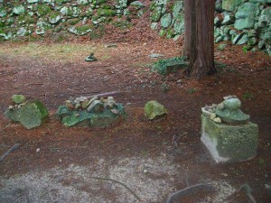 IMGP0136