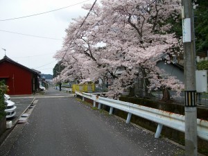 IMGP0148