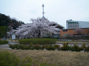IMGP0151