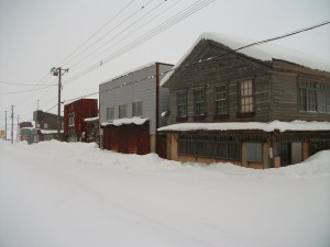 IMGP0155