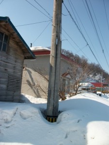 IMGP0160