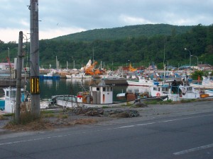 IMGP0198