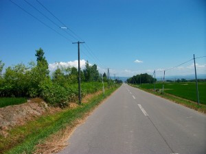 IMGP0228