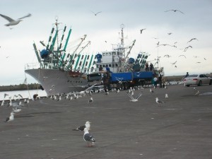IMGP0240