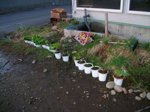 IMGP0262
