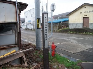 IMGP0295