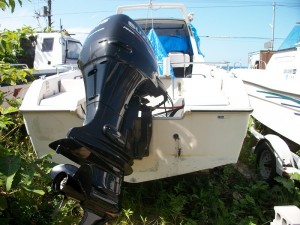 IMGP0320 (2)