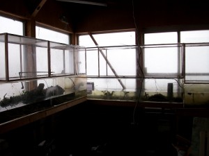 IMGP0334