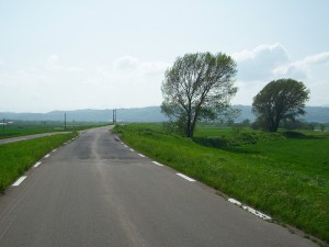 IMGP0356