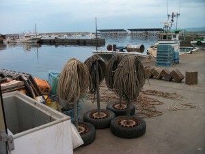 IMGP0432