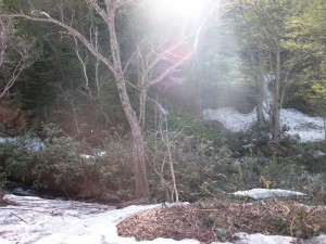 IMGP0441
