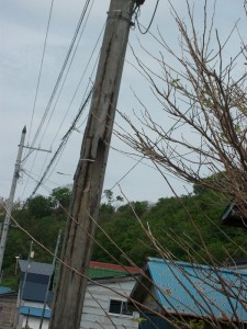 IMGP0446