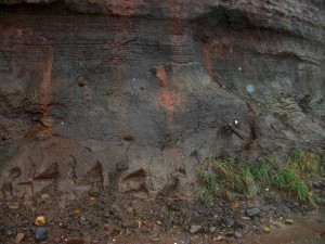 IMGP0765
