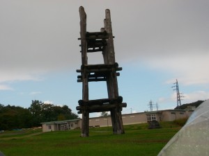 IMGP0784