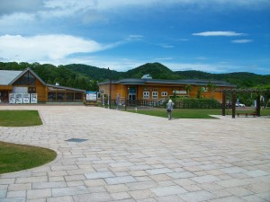IMGP1067