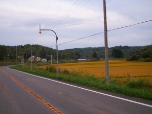 IMGP1446