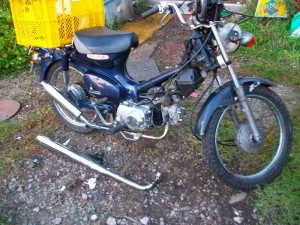 IMGP1480