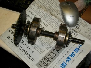 IMGP7455