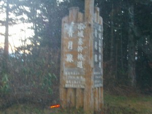 IMGP7466