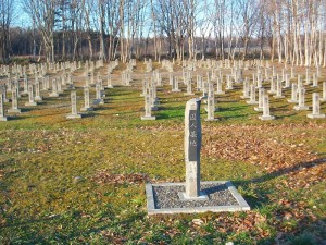 IMGP7468