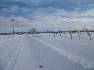 IMGP7566 (2)
