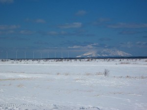 IMGP7593