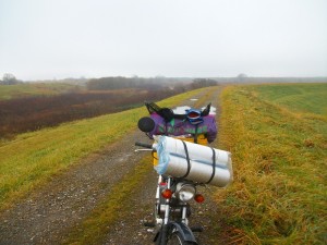IMGP7643