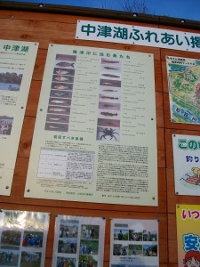 IMGP7655