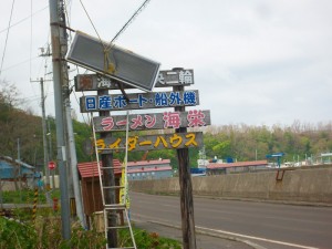 IMGP8438