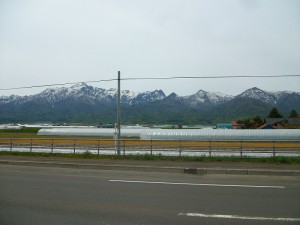 IMGP8445