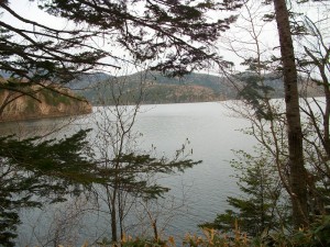IMGP8447