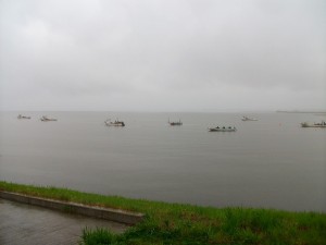IMGP8458