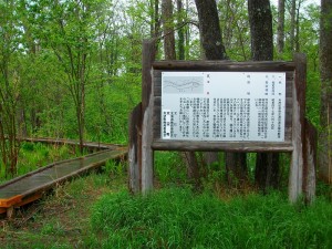 IMGP8467