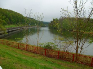 IMGP8474