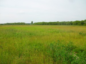 IMGP8573
