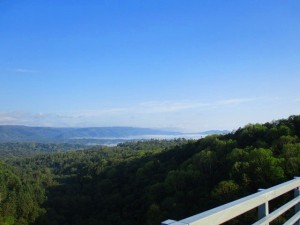 IMG_0172