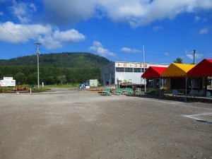 IMG_0181