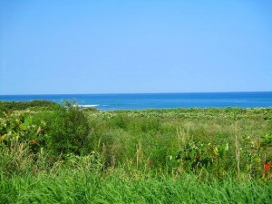 IMG_0205
